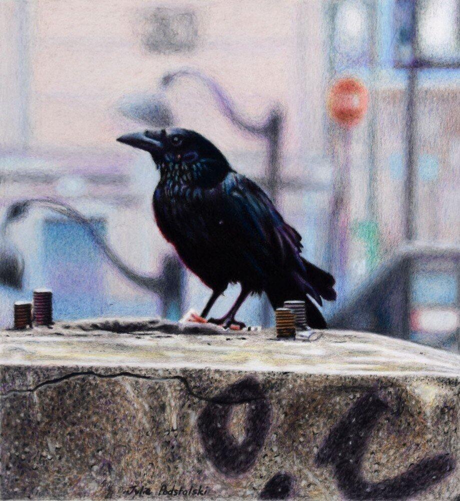 City Slicker - drawing by Julie Podstolski