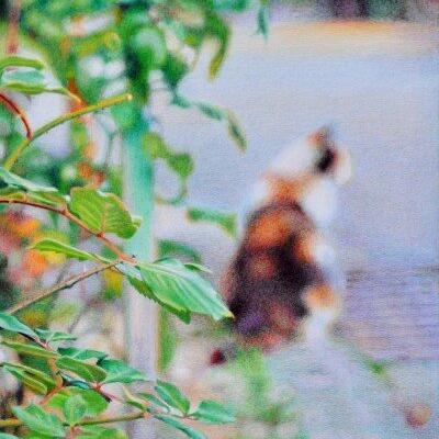 Life is Beautiful: Fremantle, Kyoto, Paris by Julie Podstolski