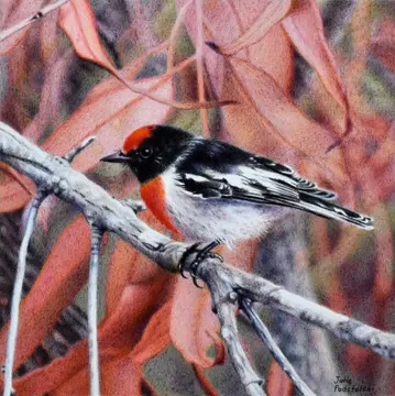 Autumn Visitor email size