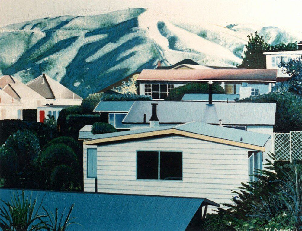 Karori West in Shadow - oil painting by Julie Podstolski