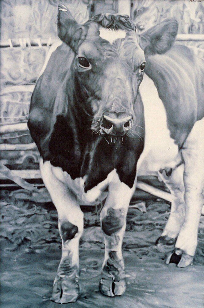 Black and White Cow - an oil painting by Julie Podstolski