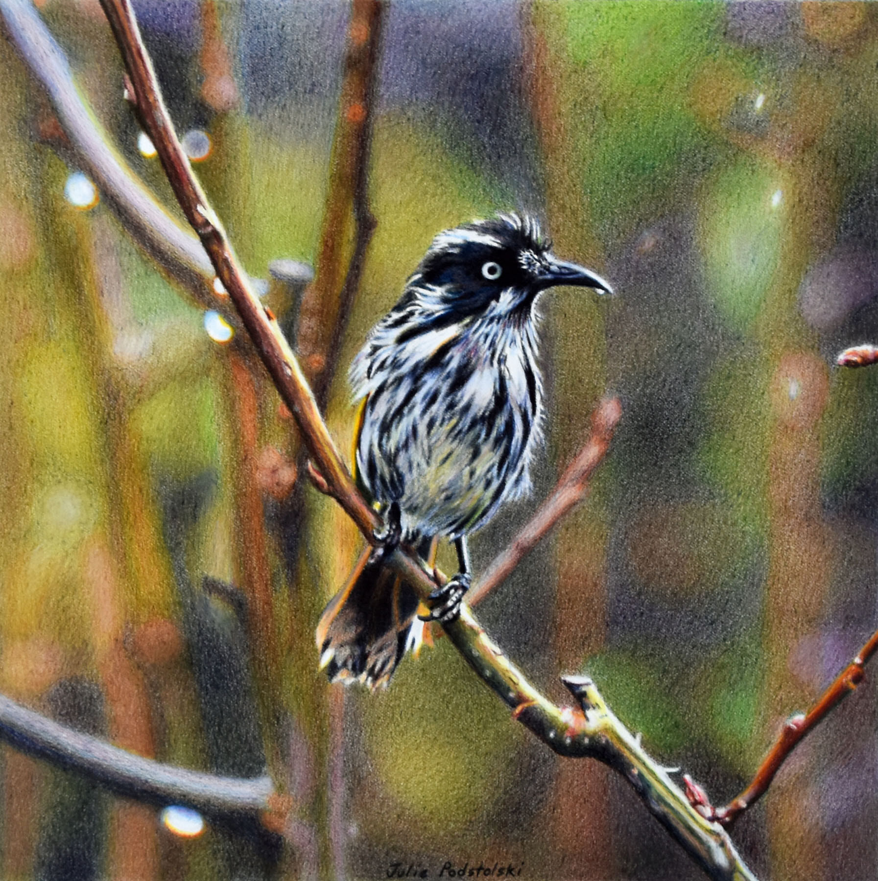 Forest and Bird - drawing by Julie Podstolski