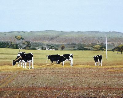 Bovine Time Karridale - oil painting by Julie Podstolski