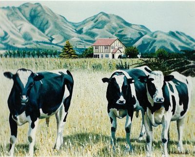 Hanmer Springs Cows - oil painting by Julie Podstolski
