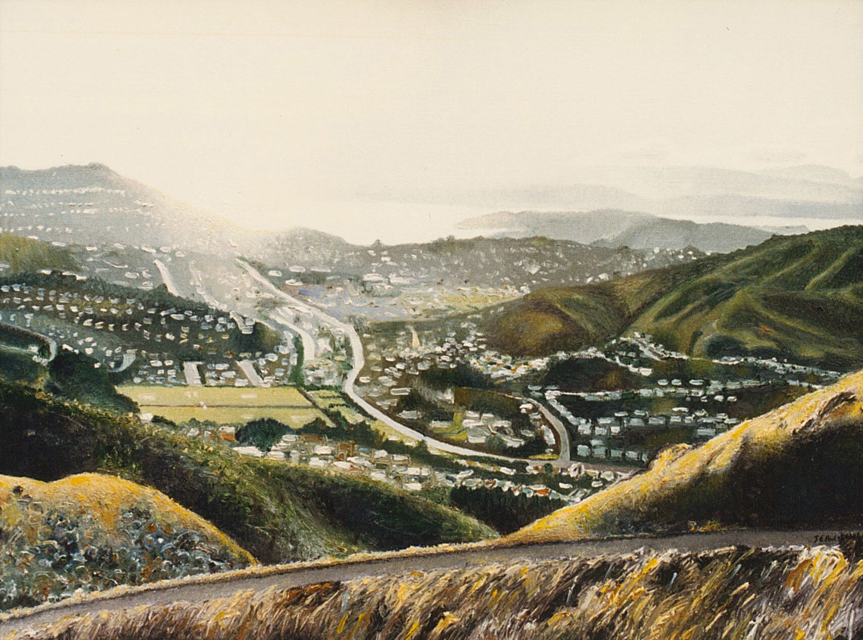 Karori Hills, Wellington, in the Morning Sun