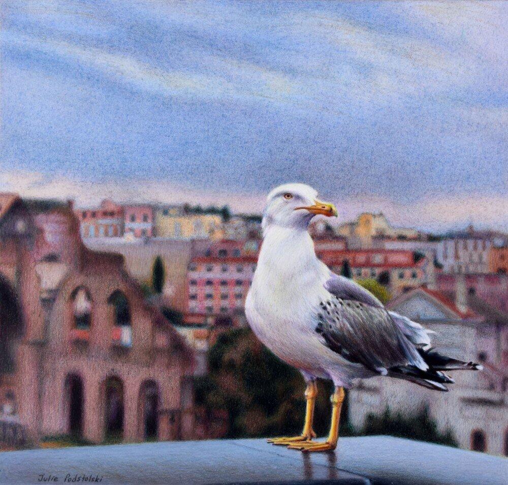 Look Out - drawing by Julie Podstolski