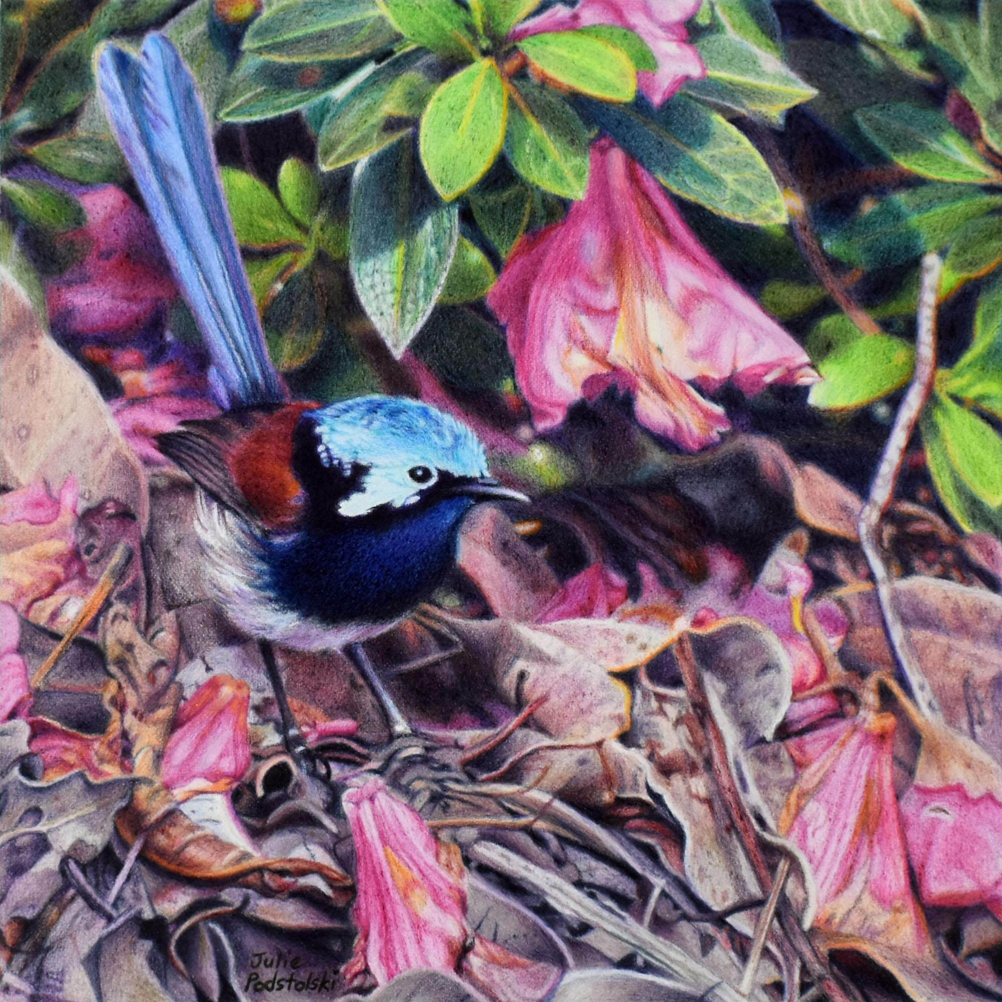 Who Goes There email size