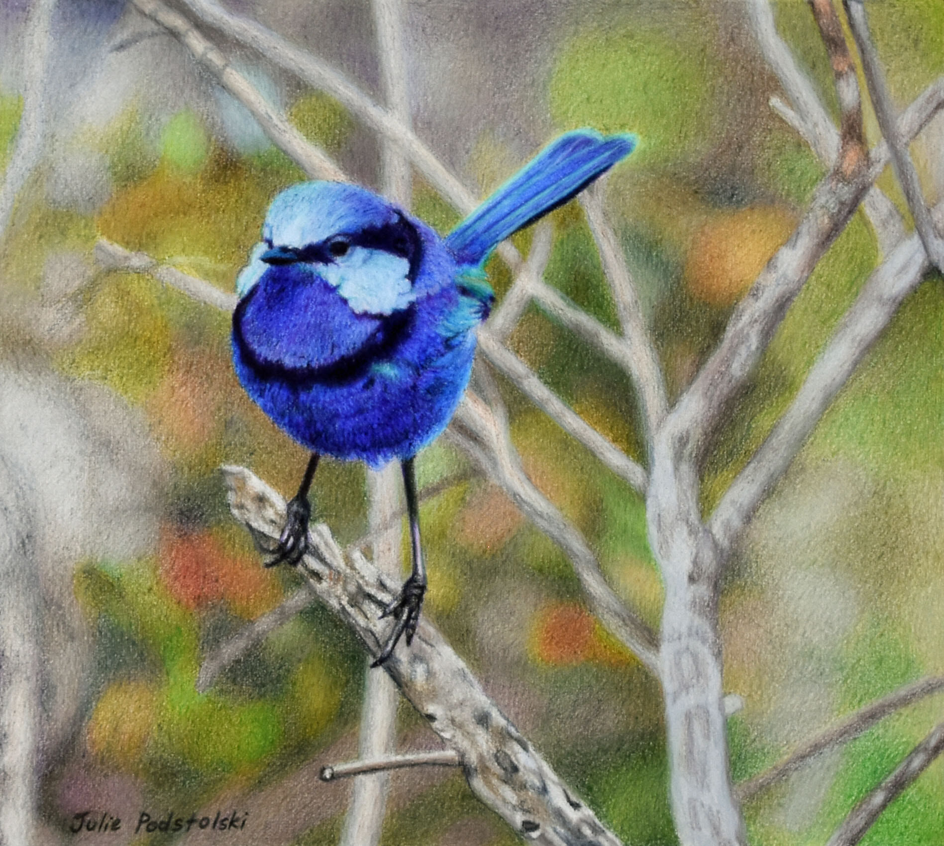 Blue Muse - drawing by Julie Podstolski