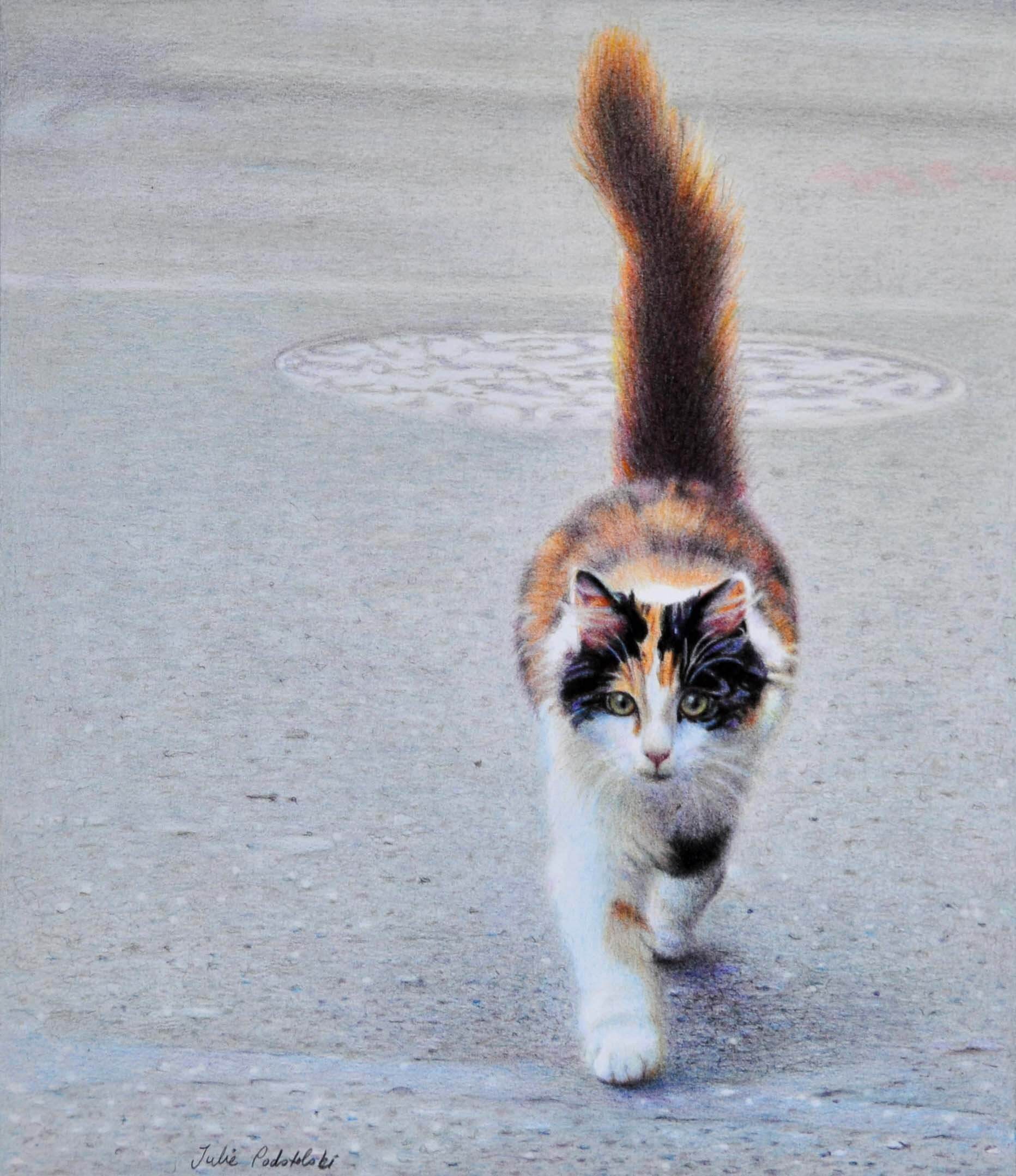 The Welcoming Cat - a drawing by Julie Podstolski