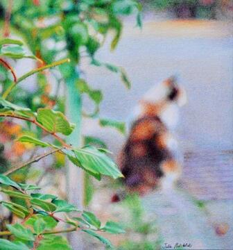 Life is Beautiful: Fremantle, Kyoto, Paris by Julie Podstolski