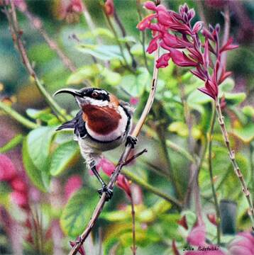 Private Universe email size