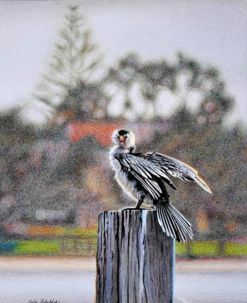 La Danse - drawing by Julie Podstolski