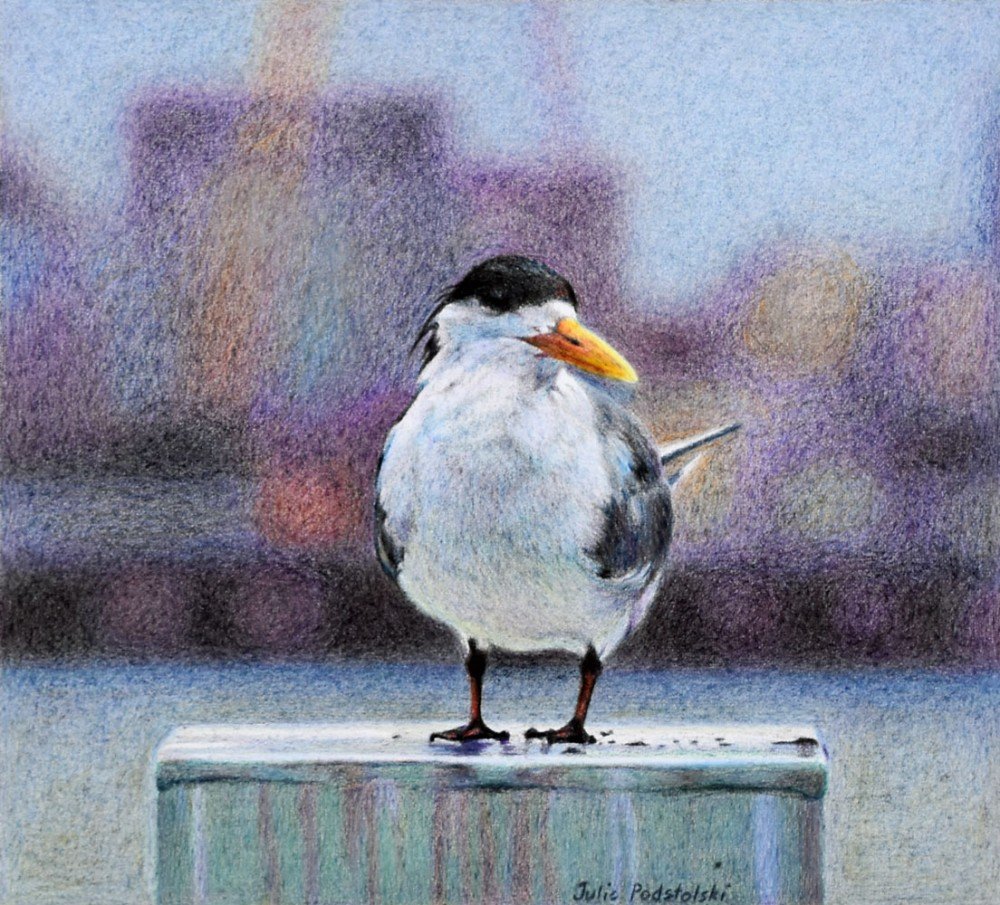 "Transit Lounge" by Julie Podstolski